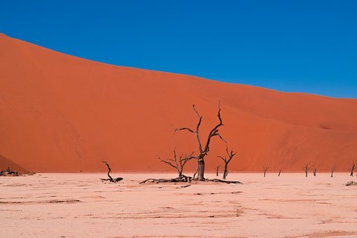 235582