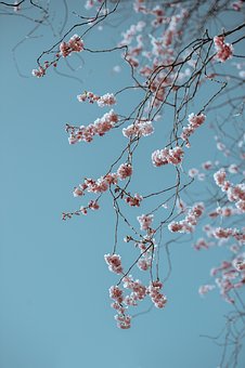 178063