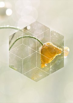 106591