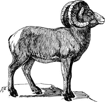 82147