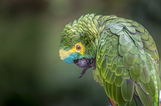 80305