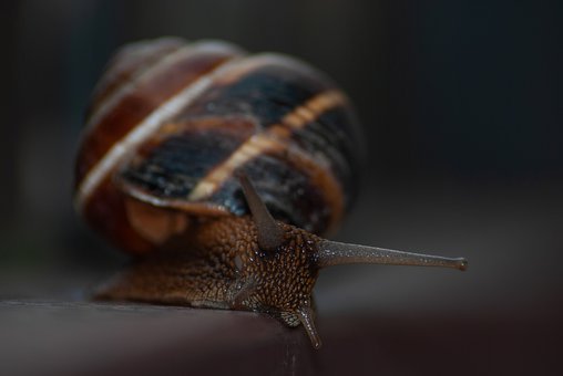320816