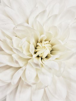 91039