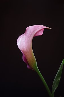 98579
