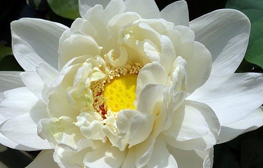 252509