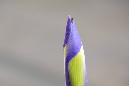 260225