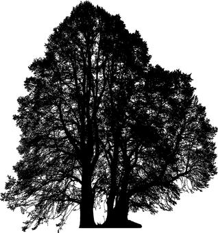 291848