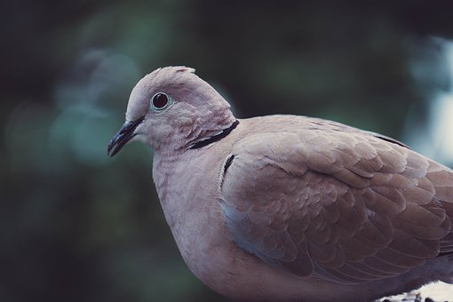 29173