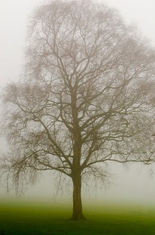 172176