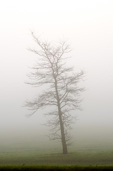 95804