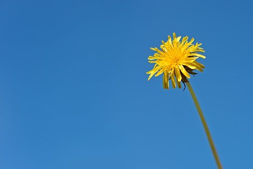 6956