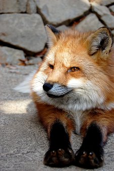 31029