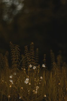 180651
