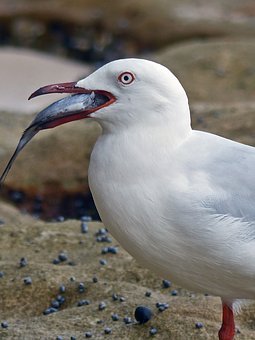 334118