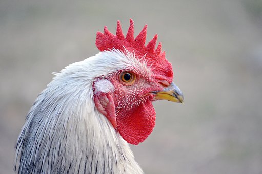 282490