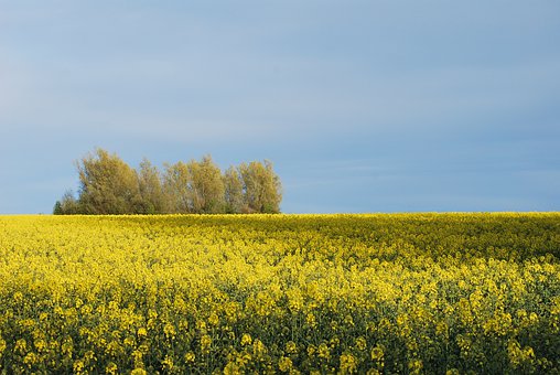 218040