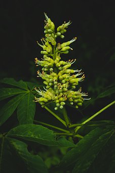 12919