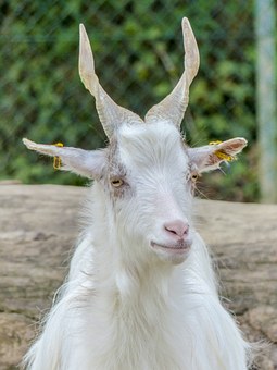 69407
