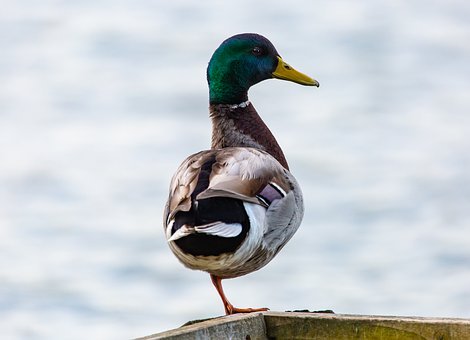 22292