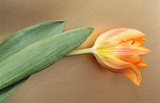 60733