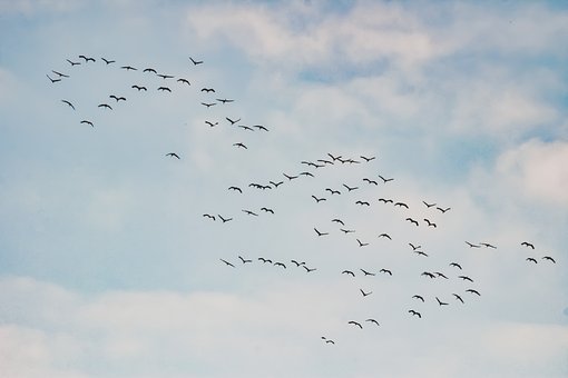 235068