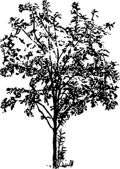 261919