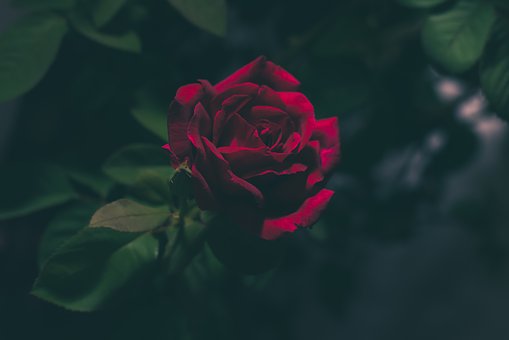 288482