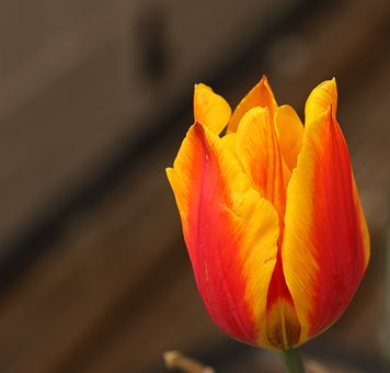 290579