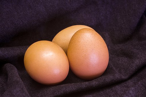 64567