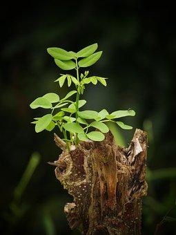 256549