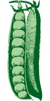 128519