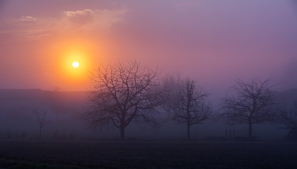 307802