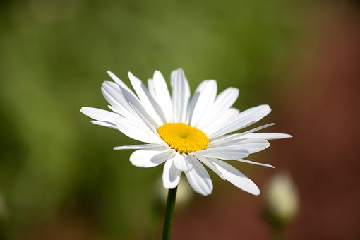 328239