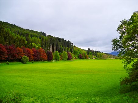 193756