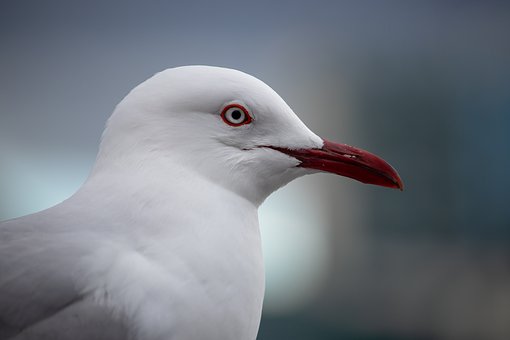69298