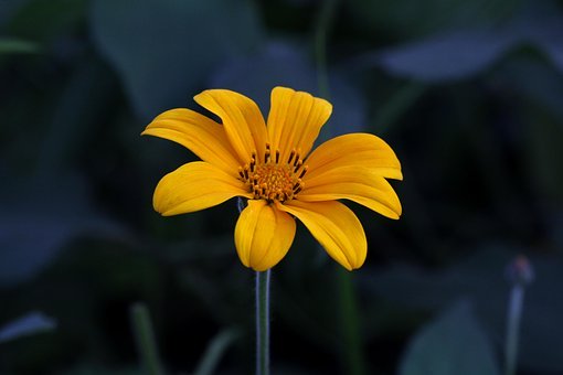 130575