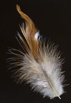192856