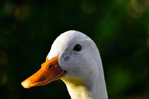 307527