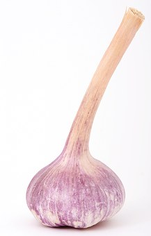 169131