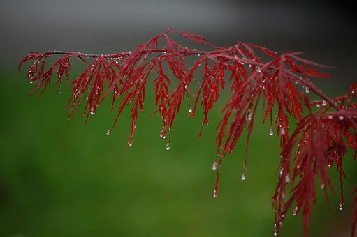 120502