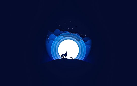 234801