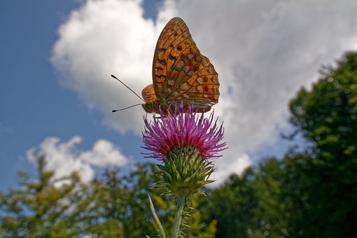 12082