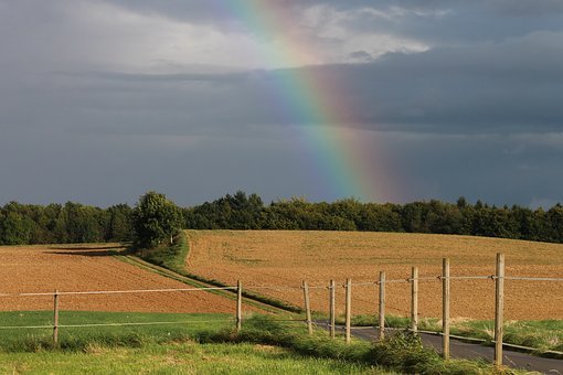 160003