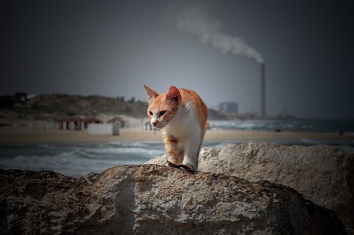 172520