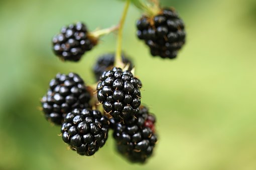 178445