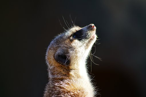 122955