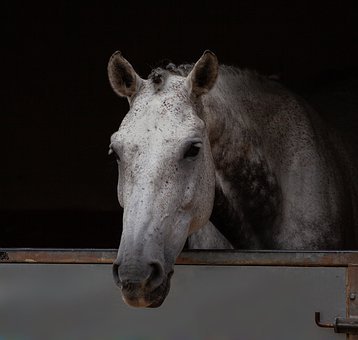 76308