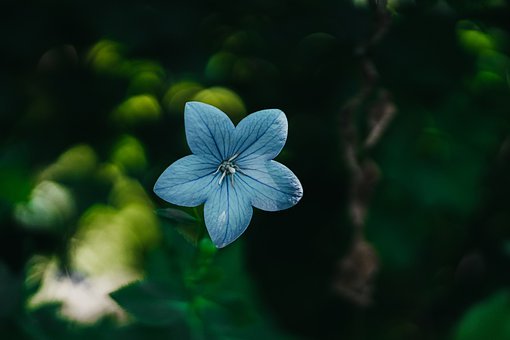 95532