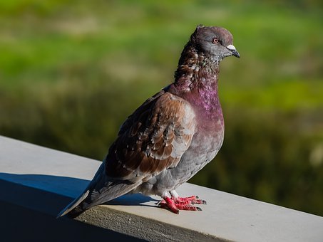 9775