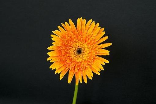102718